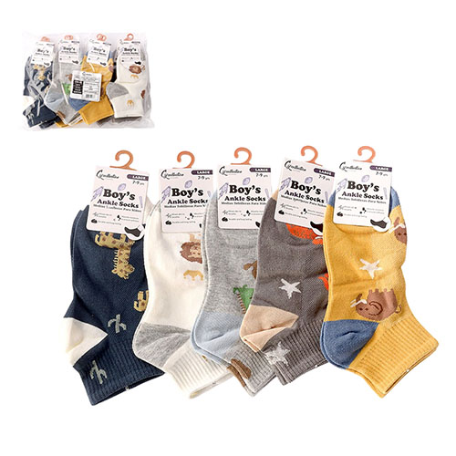 Boys' Ankle Socks – Assorted, 1 Pair