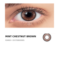 Chestnut Brown – RSM08