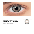 City Gray – RSM17