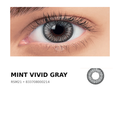 Vivid Gray – RSM21